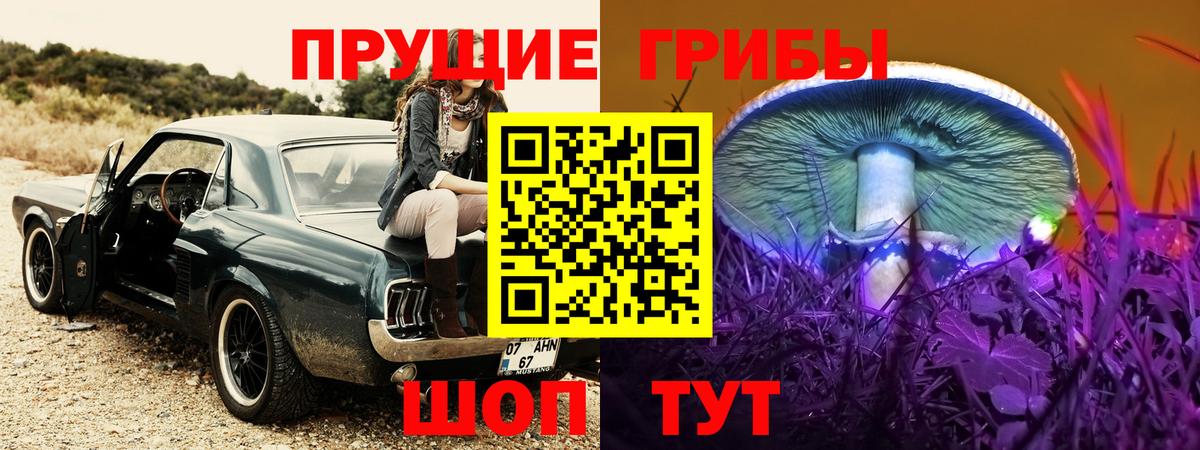 Строитель  магазин продажи   Вход с VPN  Галлюциногенные грибы Psilocybine cubensis 